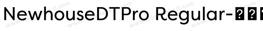NewhouseDTPro Regular字体转换